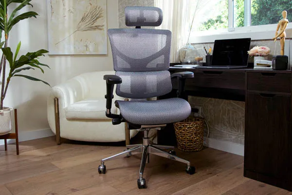 Ergonomic Chairs